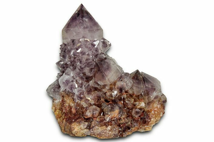 Deep-Purple Cactus Amethyst Crystal Cluster - South Africa #337605